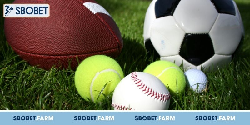 Các trò chơi thể thao nổi bật tại SBOBET đáng tham gia