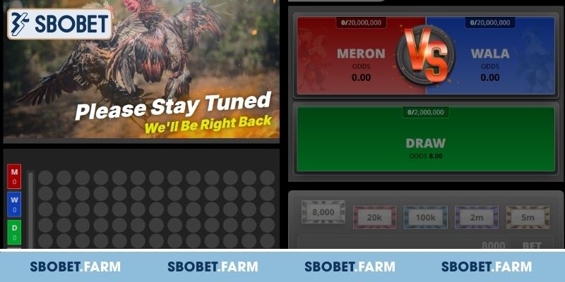 Hình thức cược đá gà SBOBET được ưa chuộng